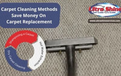 Carpet Cleaning Methods: Save You Money On Carpet Replacement