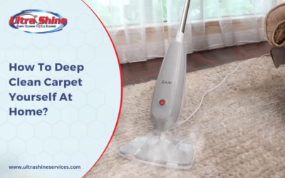 How To Deep Clean Carpet Yourself At Home?