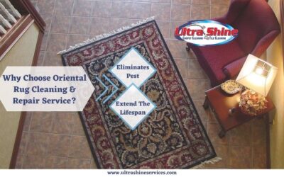Why Choose Oriental Rug Cleaning and Repair Service?