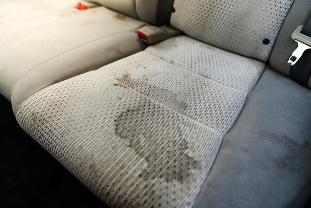 Best Fabric Protector For Upholstery