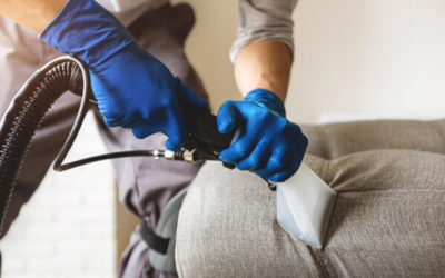 Hire Furniture Upholstery Cleaners in Riverside CA and Save Money