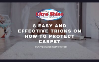8 Easy and Effective Tricks On How To Protect Carpet