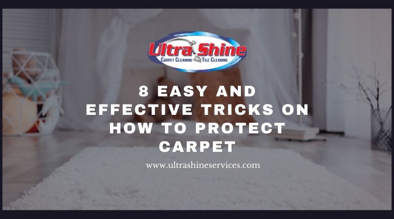 8 Easy and Effective Tricks On How To Protect Carpet