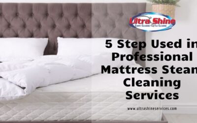 5 Step Used in Professional Mattress Steam Cleaning Services