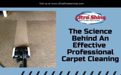 The Science Behind An Effective  Professional Carpet Cleaning