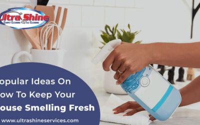 Popular Ideas On How To Keep Your House Smelling Fresh