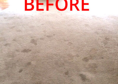 Pet Stain Removal Riverside CA