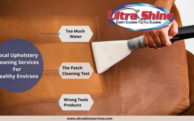 Local Upholstery Cleaning Services For Healthy Environment
