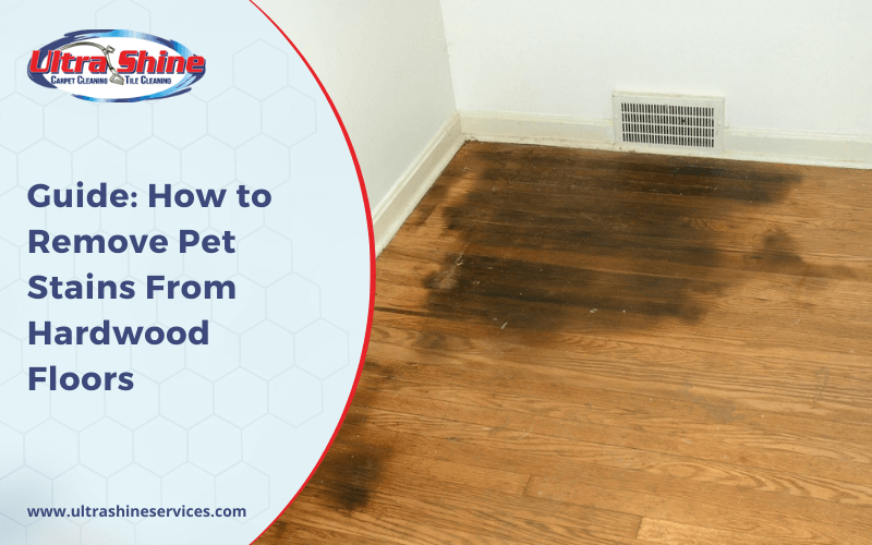 Guide: How to Remove Pet Stains From Hardwood Floors