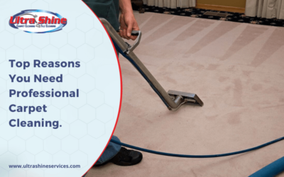Top Reasons You Need Professional Carpet Cleaning.