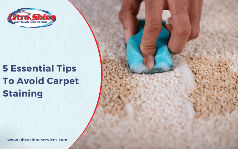 5 Essential Tips To Avoid Carpet Staining