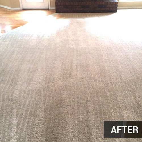 After Carpet Cleaning Riverside CA