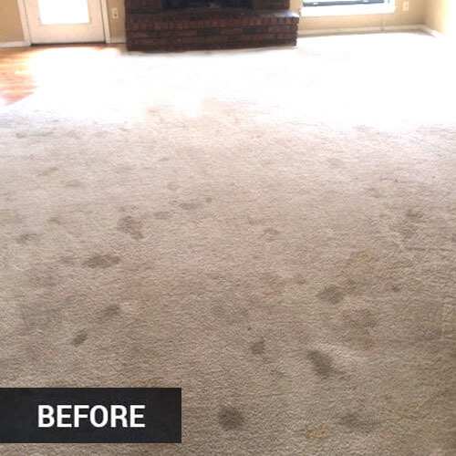 Before Carpet Cleaning Riverside CA