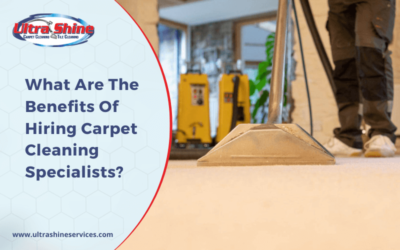 What Are The Benefits Of Hiring Carpet Cleaning Specialists?